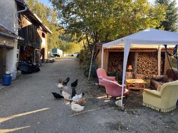 In einer gemütlichen ländlichen Szene laufen Hühner frei herum. Ein Vordach schützt Sessel und eine Lampe neben einem großen Holzstapel. Bäume und Gebäude vervollständigen die friedliche Umgebung.