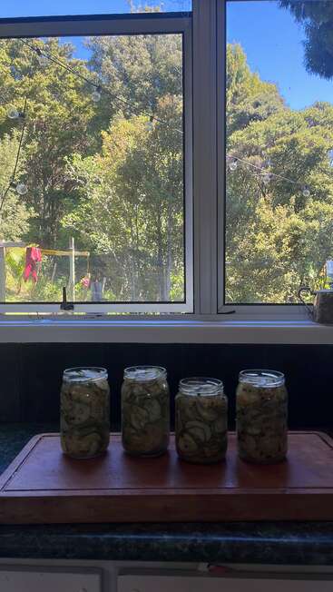 Quatro potes cheios de picles fatiados estão em cima de uma tábua de madeira perto da janela da cozinha, com vista para um jardim ensolarado e cheio de árvores verdes e céu azul lá fora.