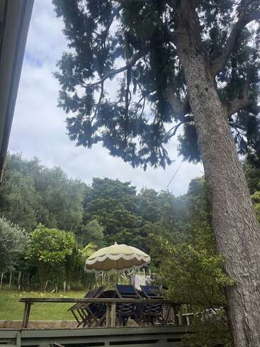 Uma grande árvore se ergue sobre um deck de madeira com cadeiras azuis-marinho, um guarda-sol recortado, cercado por uma vegetação exuberante e um céu nublado acima. Um ambiente tranquilo.