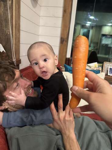 Un bébé surpris, tenu par un adulte sur un canapé, regarde les yeux écarquillés une grosse carotte qui lui est présentée à l'intérieur.