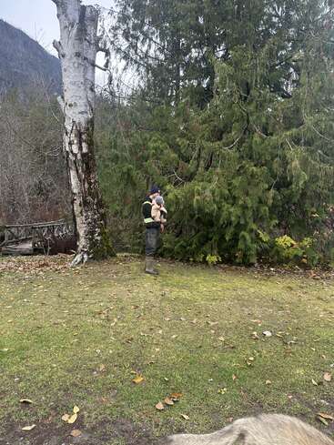 Une personne tenant un petit enfant se tient sur l'herbe près d'un grand arbre, entouré d'une forêt verdoyante, avec des montagnes visibles à l'arrière-plan, respirant la tranquillité.