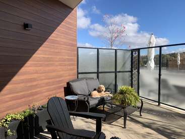 Ein kleiner, flauschiger Hund entspannt sich auf einem Terrassenstuhl, umgeben von Pflanzen, Glasscheiben und Gartenmöbeln unter einem strahlend blauen Himmel mit Wolken.