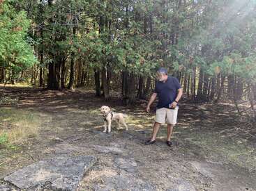 Ein Mann in einem schwarzen Hemd und khakifarbenen Shorts geht mit einem hellen Hund an der Leine in einem bewaldeten, sonnenbeschienenen Gebiet spazieren.