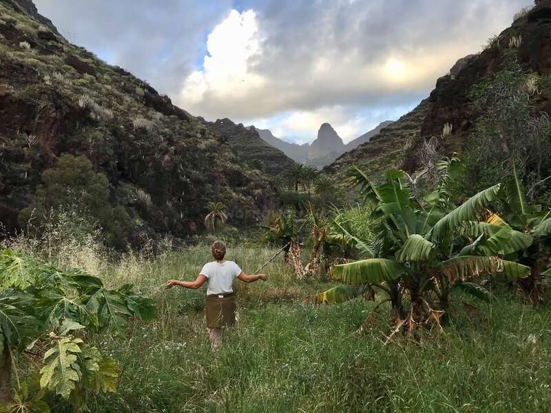 L'image représente une scène sereine d'une personne debout dans un champ d'herbe luxuriante, entouré de palmiers et de montagnes, avec un ciel nuageux au-dessus.