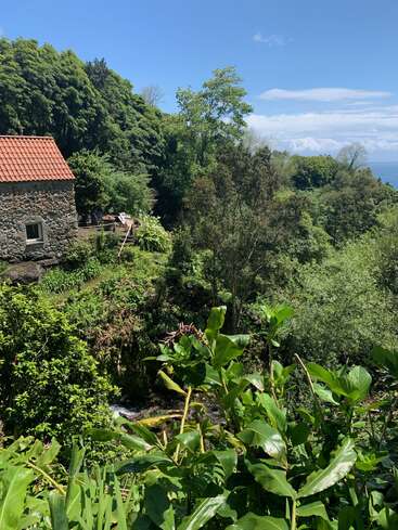 A rustic stone house with a red-tiled roof stands amidst lush green foliage, overlooking a vibrant forest, clear blue sky, and distant hints of ocean.