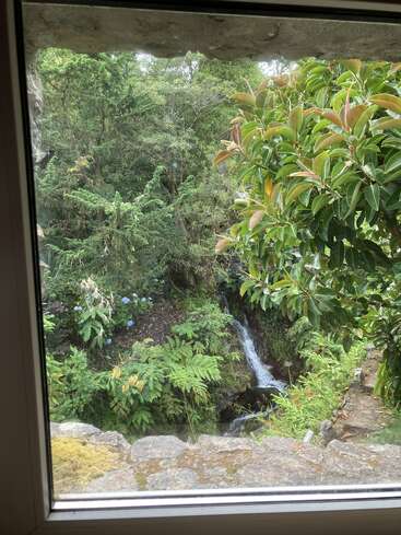 À travers une fenêtre, une végétation luxuriante et des fougères entourent une petite cascade et un ruisseau. Des branches en surplomb, des corniches rocheuses, des fleurs bleues et des plantes aux couleurs vives créent un panorama serein.