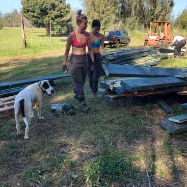 Das Bild zeigt zwei Frauen und einen Hund, die an einem sonnigen Tag über eine Wiese mit Holz gehen, begleitet von einem Gabelstapler und einem LKW im Hintergrund.