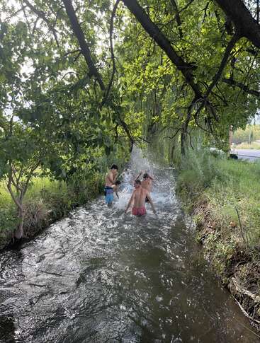 Tres niños juegan alegremente en un estrecho arroyo, chapoteando bajo frondosos árboles verdes, rodeados de naturaleza y luz solar en una tarde veraniega y despreocupada.