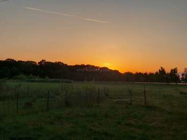Ein friedlicher, ländlicher Sonnenuntergang mit orangefarbenem Himmel, silhouettierten Bäumen und offenen Grasflächen. Die stille Landschaft ist ruhig und in sanftes Abendlicht getaucht.