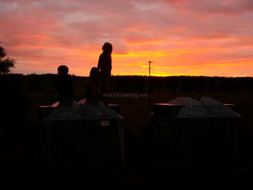Three children stand silhouetted on top of large metal containers, watching a vibrant orange and yellow sunset, with open countryside and dramatic clouds behind them.