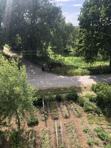 A sunlit garden with neat, green vegetable rows lies below. Beyond a dirt road, two horses stand grazing under tall trees amidst lush greenery.