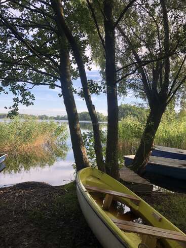 A peaceful lakeside scene with boats rests beneath leafy trees, beside calm water reflecting the sky and reeds on a bright sunny day, evoking tranquility.