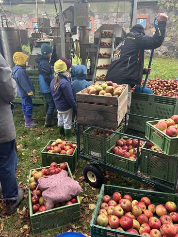 Children and adults gather around an apple processing machine outdoors. Crates filled with apples are stacked nearby, ready for juicing or cider production on a cool day.