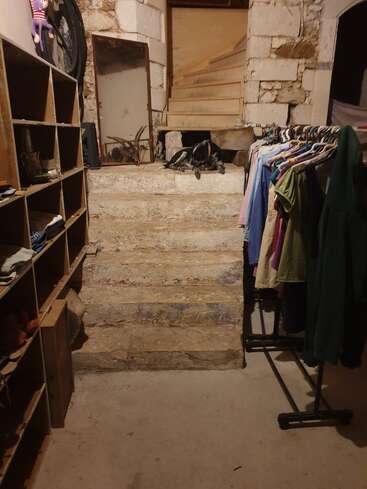 Un sótano rústico con escalones de piedra, percheros, estanterías, un gran espejo, paredes de piedra vista y un perro tumbado al final de la escalera.