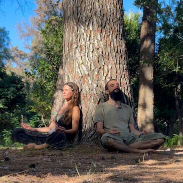 A man and woman sit cross-legged, meditating with closed eyes, backs against a large tree trunk, surrounded by lush greenery and sunlight in a peaceful forest.