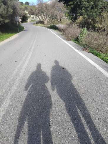 Two long shadows of people are cast on an empty, winding road surrounded by trees and greenery on a sunny day with clear skies. Peaceful atmosphere.