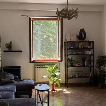 Ce salon chaleureux est agrémenté d'une grande fenêtre ouverte, de plantes vertes, d'une bibliothèque, d'un canapé gris, d'une petite table et d'une douce lumière naturelle qui illumine la pièce.