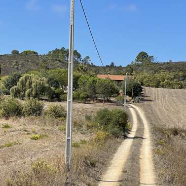 La imagen representa un sereno paisaje rural con un camino de tierra, postes de teléfono, árboles y una casa, todo ello bajo un cielo azul despejado.