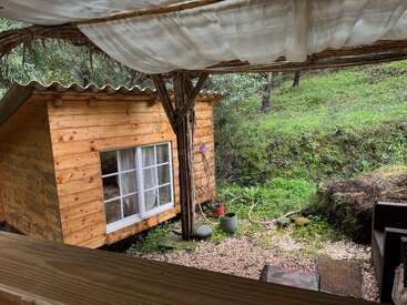 A small wooden cabin with large windows sits beside a grassy hill. Potted plants and stones decorate the ground, partially covered by a canopy above. Peaceful setting.