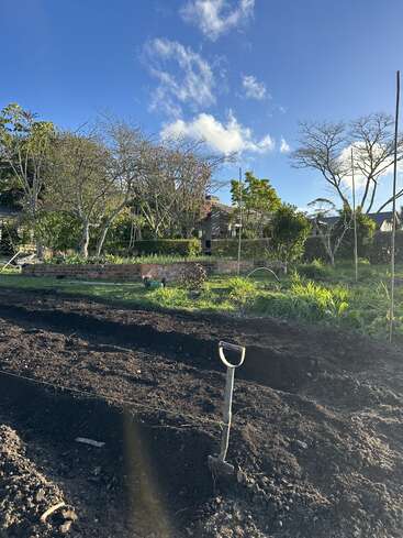Una escena de jardín con tierra recién labrada, una pala clavada en la tierra, árboles, exuberante vegetación, un muro de ladrillo y casas bajo un cielo azul despejado.