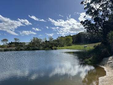 Una apacible escena junto a un lago con agua azul clara, orilla arenosa, frondosos árboles verdes, colinas cubiertas de hierba, un cielo brillante, nubes blancas y un pequeño banco.