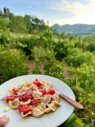 A white plate with orecchiette pasta, tomatoes, and onions is held outdoors, with lush greenery and distant mountains in the background under a bright sky.