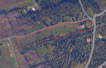 Cette image satellite montre un paysage rural verdoyant avec des maisons dispersées, des routes qui se croisent et un contour rouge marquant une longue zone rectangulaire avec des arbres.