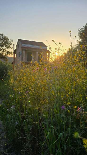 Une charmante maison se dresse derrière de hautes fleurs sauvages, baignée par la lumière dorée d'un coucher de soleil, entourée d'une verdure luxuriante et d'une campagne paisible et sereine.