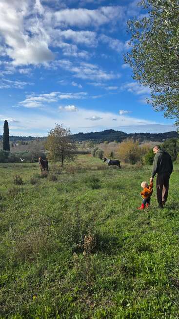 Un homme tient la main d'un jeune enfant tandis qu'ils traversent un champ verdoyant en direction de deux chevaux, sous un vaste ciel bleu parsemé de nuages. Une scène champêtre paisible.