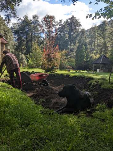 Une personne vêtue d'un vêtement à carreaux creuse un grand trou dans un jardin verdoyant, accompagnée d'un chien noir couché dans la terre fraîchement creusée à proximité.