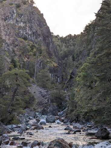 Une rivière rocheuse coule dans une gorge montagneuse étroite entourée de falaises abruptes et d'arbres verts denses, créant un paysage naturel spectaculaire et pittoresque.