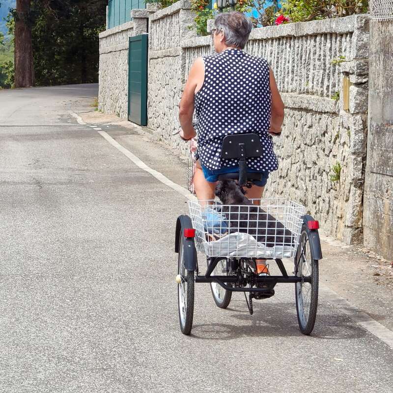 Eine ältere Person fährt mit einem Dreirad auf einer ruhigen Straße und trägt ein gepunktetes Oberteil. Ein kleiner schwarzer Hund sitzt bequem im hinteren Korb.