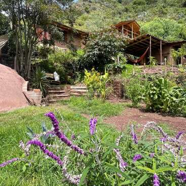 Une maison rustique nichée au cœur d'une végétation luxuriante, entourée de jardins et de fleurs violettes, se dresse au pied d'une colline baignée de soleil, sous un ciel bleu limpide.