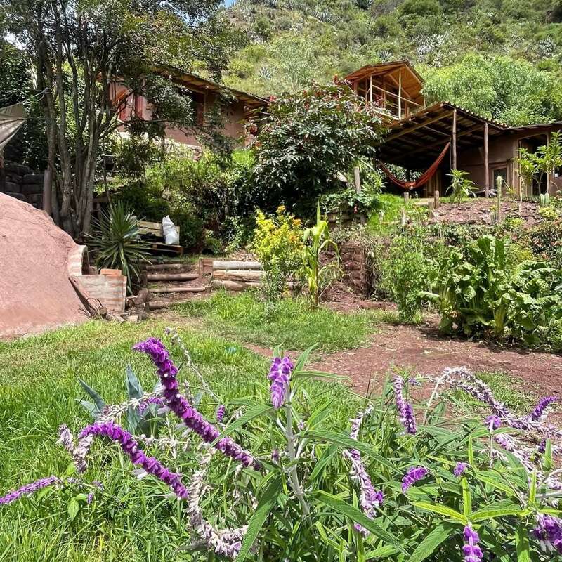 Une maison rustique nichée au cœur d'une végétation luxuriante, entourée de jardins et de fleurs violettes, se dresse au pied d'une colline baignée de soleil, sous un ciel bleu limpide.