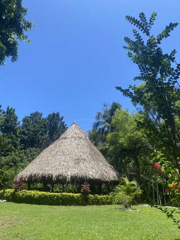 Eine traditionelle Strohdachhütte ist umgeben von üppigem tropischen Grün unter einem strahlend blauen Himmel, der eine friedliche, natürliche und einladende Umgebung schafft.