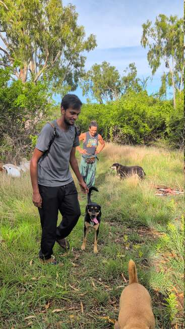 Two people and several dogs are outdoors in a grassy, wooded area. The man walks with a happy dog, while the woman stands smiling in the background.