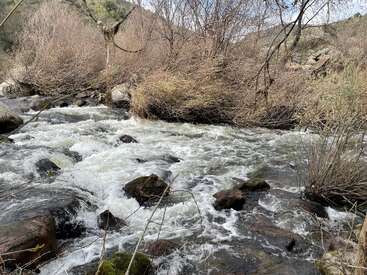 A fast-flowing river rushes over rocks surrounded by leafless bushes and trees, creating whitewater rapids in a rugged, natural, and mountainous landscape.