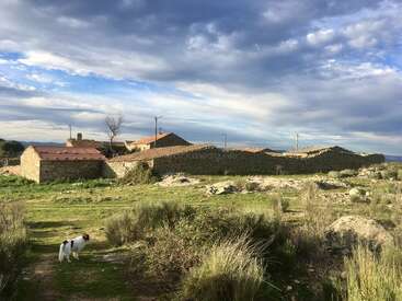 A small white dog stands on a grassy path near rustic stone buildings with red-tiled roofs, surrounded by shrubs under a dramatic, partly cloudy sky.