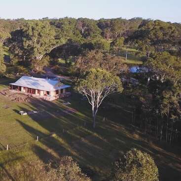 A solitary house with a tin roof is nestled among tall trees and surrounded by lush greenery, with long shadows cast across the peaceful landscape.