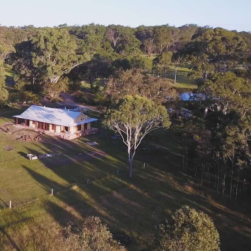 A solitary house with a tin roof is nestled among tall trees and surrounded by lush greenery, with long shadows cast across the peaceful landscape.