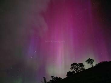 This image captures a breathtaking night sky filled with vibrant pink and purple aurora lights, silhouetted trees on a hillside, and twinkling stars above.