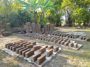 The image depicts a yard with a collection of bricks arranged in rows on the ground, surrounded by trees and a large plant in the background.
