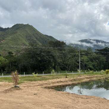 A serene landscape features green mountains, cloudy skies, a pond in the foreground, lush trees, a roadside with small plants, and mist rolling over hills.
