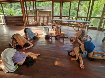 L'image représente un groupe de personnes pratiquant le yoga sur un sol en bois dans une pièce spacieuse avec de grandes fenêtres, entourée d'une verdure luxuriante à l'extérieur.