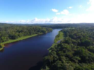 L'image représente une rivière sereine s'écoulant à travers une forêt verdoyante, avec un ciel bleu clair et des nuages blancs au-dessus, évoquant un sentiment de beauté naturelle et de tranquillité.