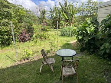 Cette image montre une scène de jardin paisible avec une petite table en verre, deux chaises en bois, des plantes vertes luxuriantes, un treillis et des arbres tropicaux sous un ciel bleu.