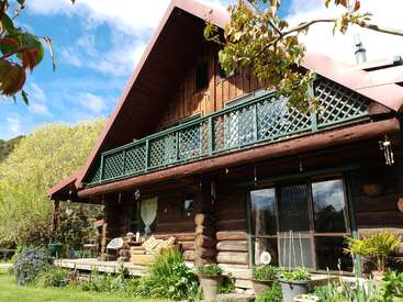 This is a cozy log cabin with a sloped roof, green balcony, abundant plants, large windows, outdoor seating, surrounded by lush garden and blue sky.