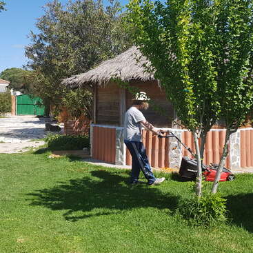 Eine Person mäht einen Rasen mit einem Aufsitzrasenmäher und hat einen großen Haufen gemähten Grases hinter sich. Der Rasen ist grün und gut gemäht. Im Hintergrund ist ein klarer blauer Himmel zu sehen.
