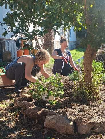 Zwei Menschen gärtnern in einem sonnenbeschienenen Garten und kümmern sich sorgfältig um Pflanzen und Erde. Sie wirken konzentriert und zufrieden, umgeben von Grün, Bäumen und natürlichen Elementen.