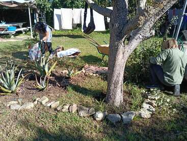 Zwei Menschen gärtnern in einem sonnigen Hinterhof. Einer pflanzt in der Nähe von Aloe-Pflanzen und der andere kniet an einem Baum. Hinter ihnen hängt die Wäsche.